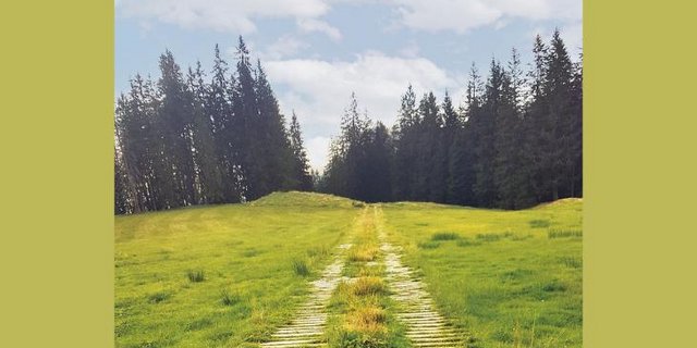  Stein des Anstosses: Holz anstatt Schotter. (Bild hr)