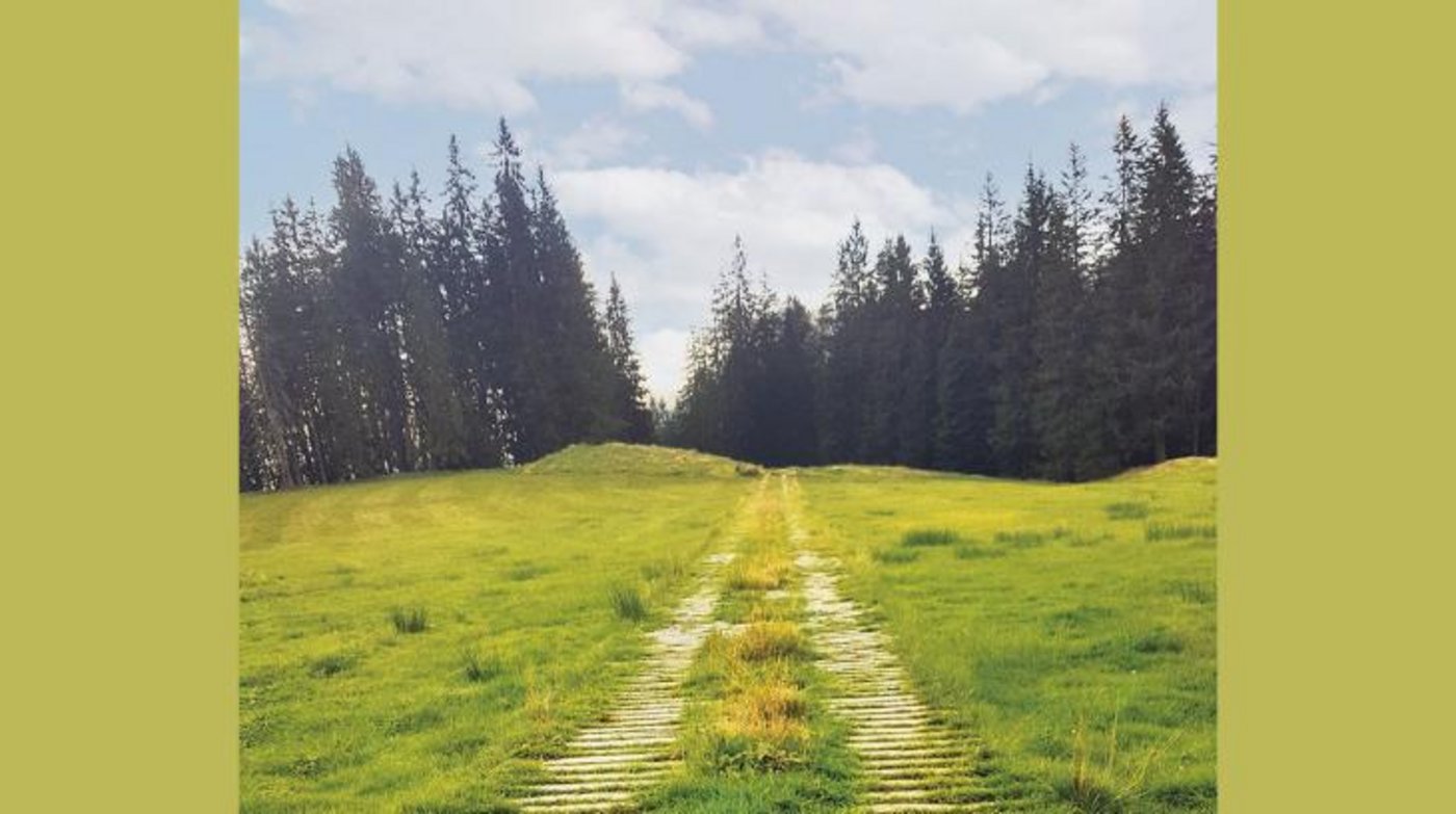  Stein des Anstosses: Holz anstatt Schotter. (Bild hr)