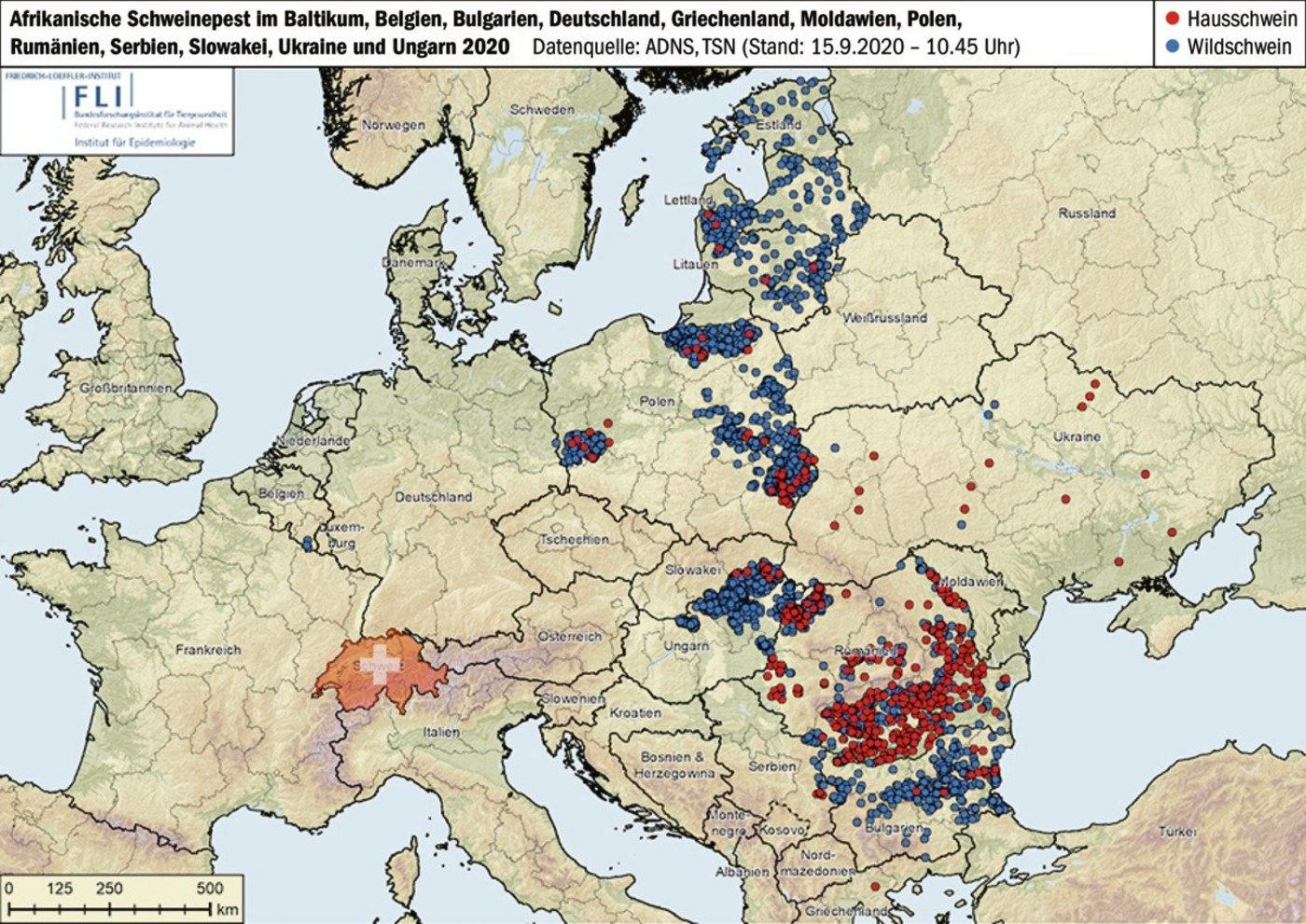 Auf dem Vormarsch von Ost nach West: Die roten Punkte stellen die ASP-Nachweise beim Hausschwein dar, die blauen diejenigen in der Wildschweinepopulation. (Grafik Friederich-Löffler-Institut/BauZ)