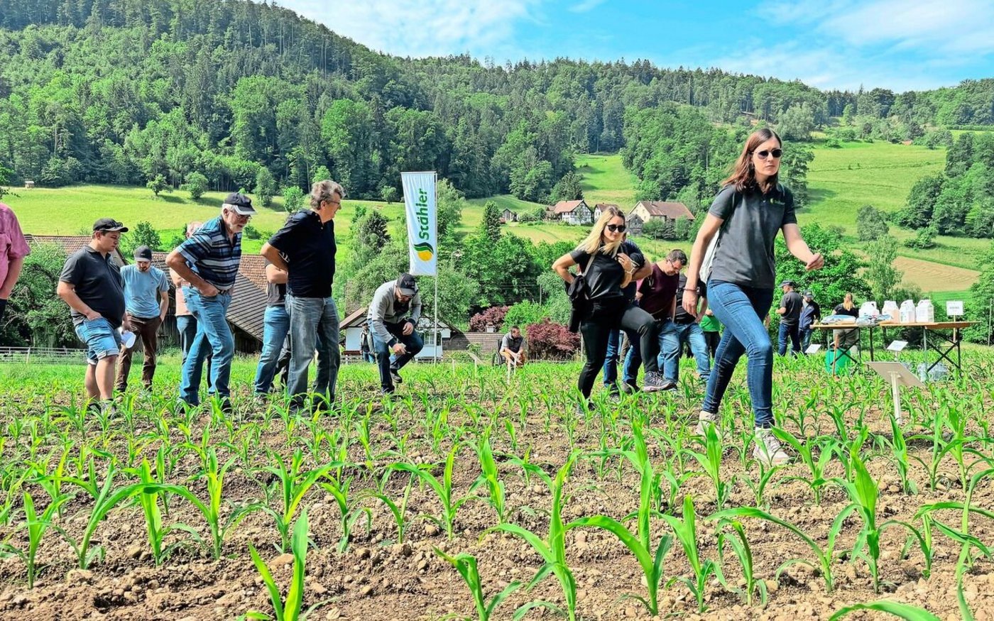Begehung der Mais-Versuchsparzelle am Stähler-Tag in Bachs. Gezeigt wurden verschiedene Herbizidverfahren sowie ein stickstoff- und phosphorreicher Mikrogranulatdünger mit Zink und Huminsäuren.