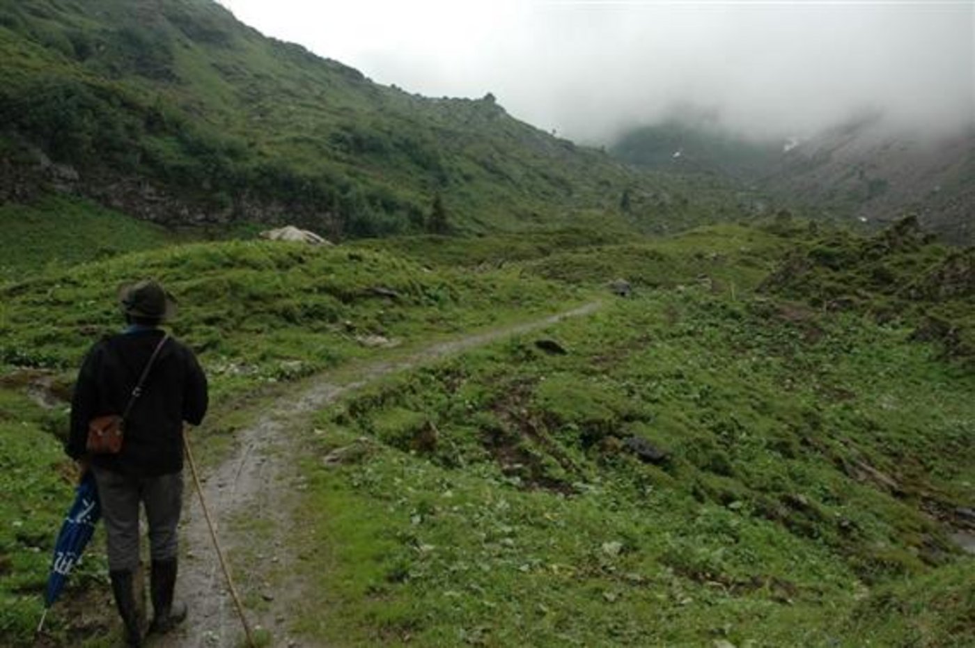Dauerregen statt Postkartenwetter: Der Alpsommer 2014 war eher eine frustrierende Angelegenheit. (Bild: BauZ)