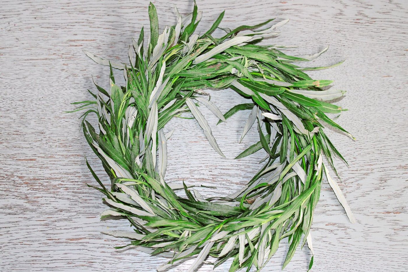 Das «Gerüst» des Kranzes bilden frische Weidenruten. Die Blätter können dran gelassen werden.