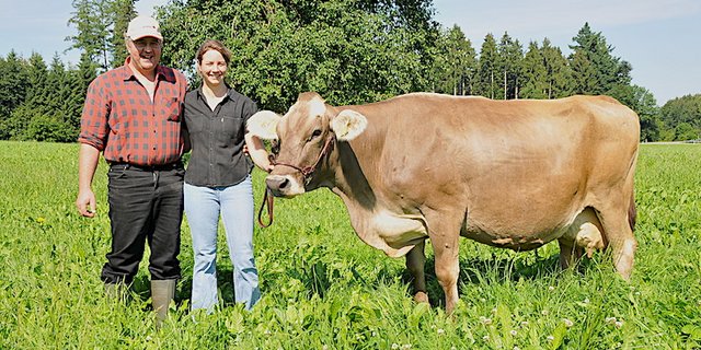 Das Bild zeigt Jason Kenia als 100'000er Kuh. (Bild zVg)