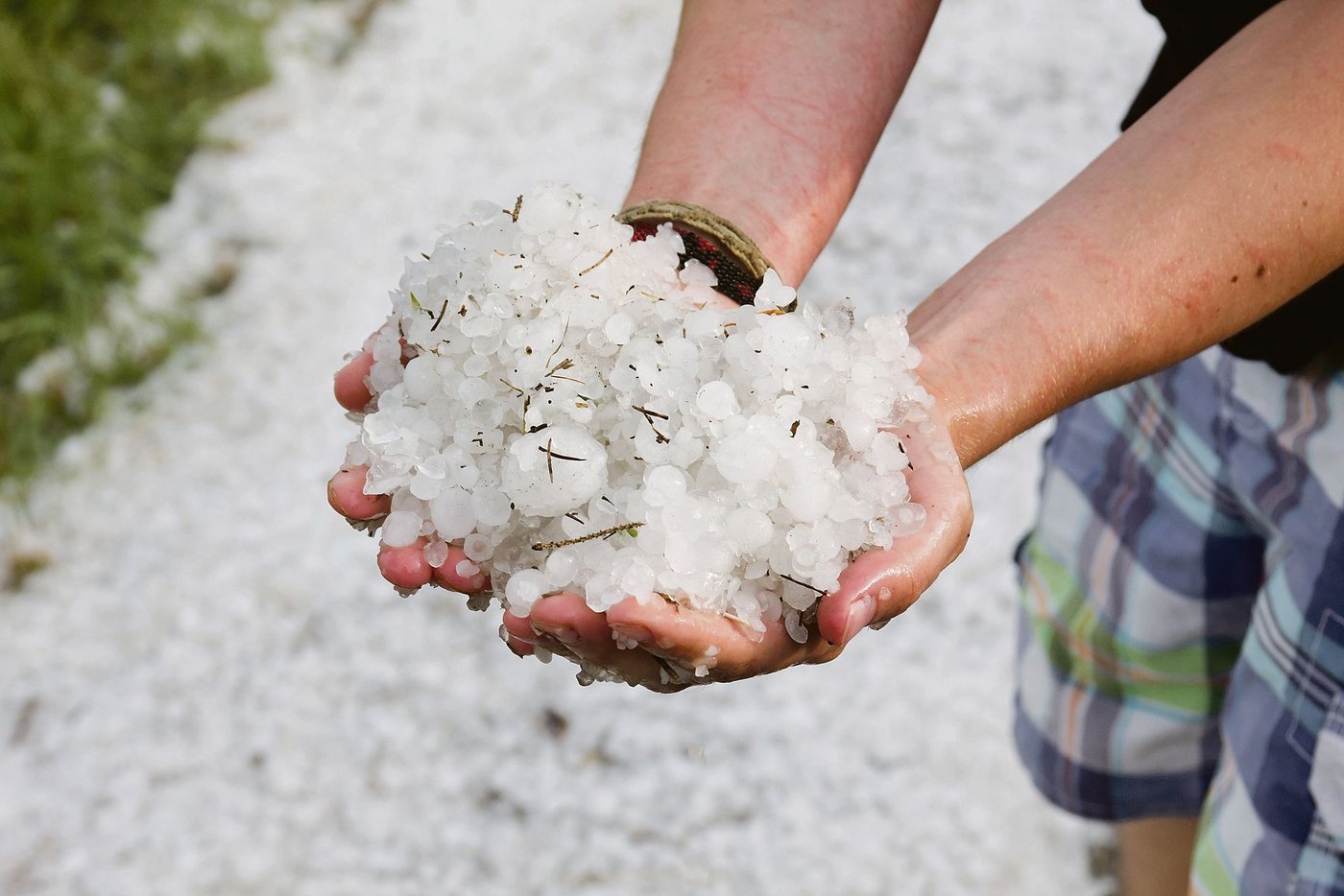 In weiten Teilen der Schweiz hat der Hagel diesen Sommer bereits grossen Schaden angerichtet. (Bild Adobe Stock)