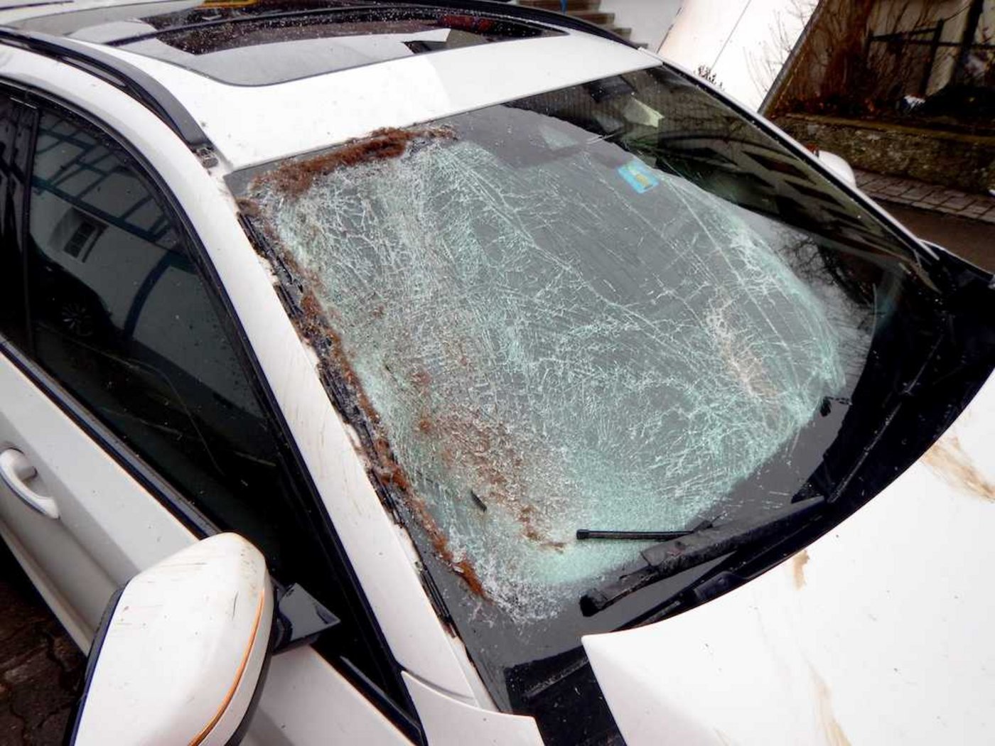 Personen kamen bei dem Unfall keine zu Schaden. (Bild Kantonspolizei Thurgau)