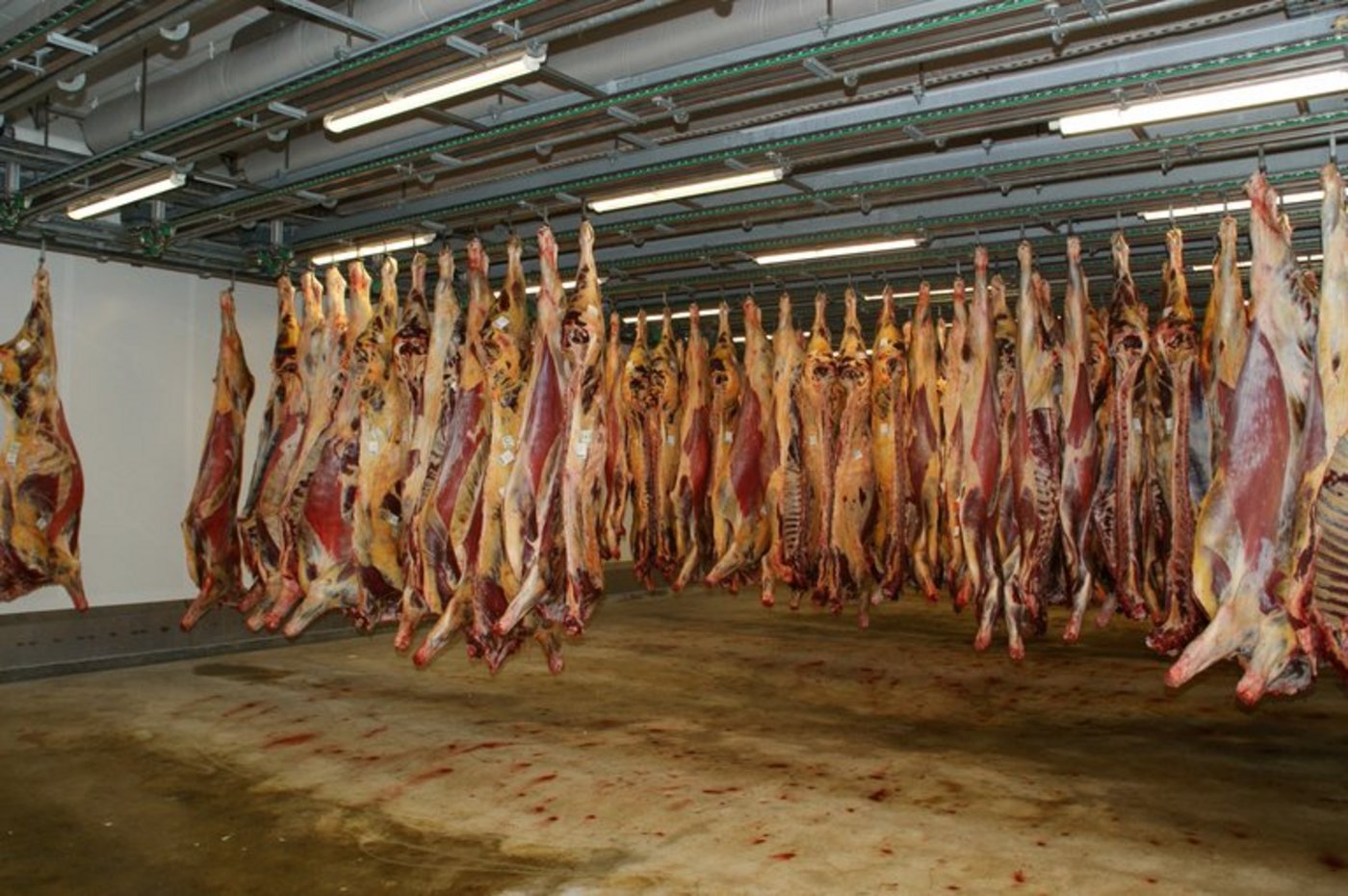 Seit 2018 ist das System im Einsatz. (Symbolbild/lid ji)