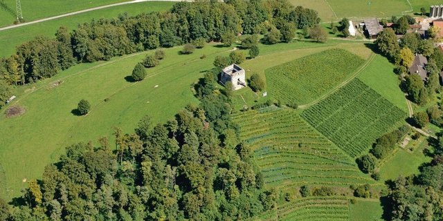 Im Unteren Tösstal prägen Reben, Wiesen, Weiden und Ackerflächen das Landschaftsbild. Das soll erhalten werden, aber nicht mit noch grösseren Auflagen. 