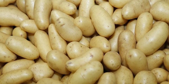 Der Detailhandel hat in den letzten Monaten so viele Kartoffeln verkauft seit 12 Jahren nicht mehr. (Bild lid)