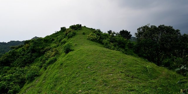 Greenpeace fordert in ihrer Vision für die Landwirtschaft etwa, dass nur noch so viele Tiere gehalten werden, wie mit Gras sowie Resten der Nahrungsmittelproduktion ernährt werden können. (Bild Symbolbild pixabay)