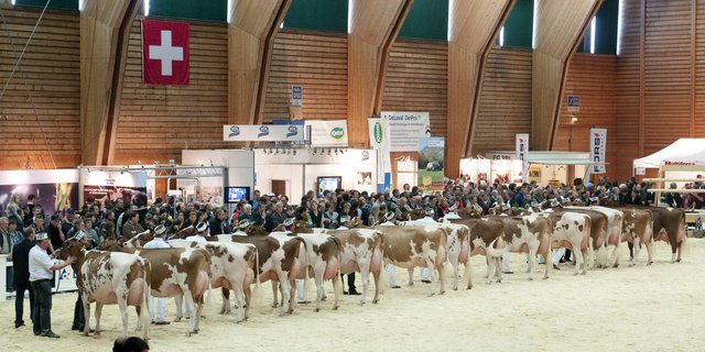 Die Expo Bulle (hier das Bild einer früheren Durchführung) findet 2020 nicht statt. (Bild zVg)