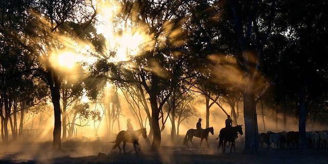 Die Gesundheitsbehörden warnten vor hohen Ozon-Konzentrationen in der Luft. (Bild pixabay)