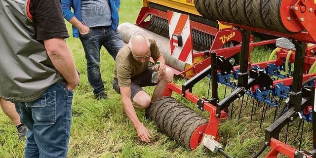 Mit Striegel und Übersaat lässt sich auch die Borstenhirse etwas eindämmen. 