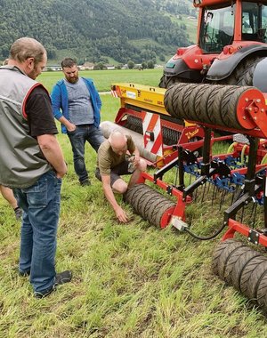 Mit Striegel und Übersaat lässt sich auch die Borstenhirse etwas eindämmen. Mit Striegel und Übersaat lässt sich auch die Borstenhirse etwas eindämmen.