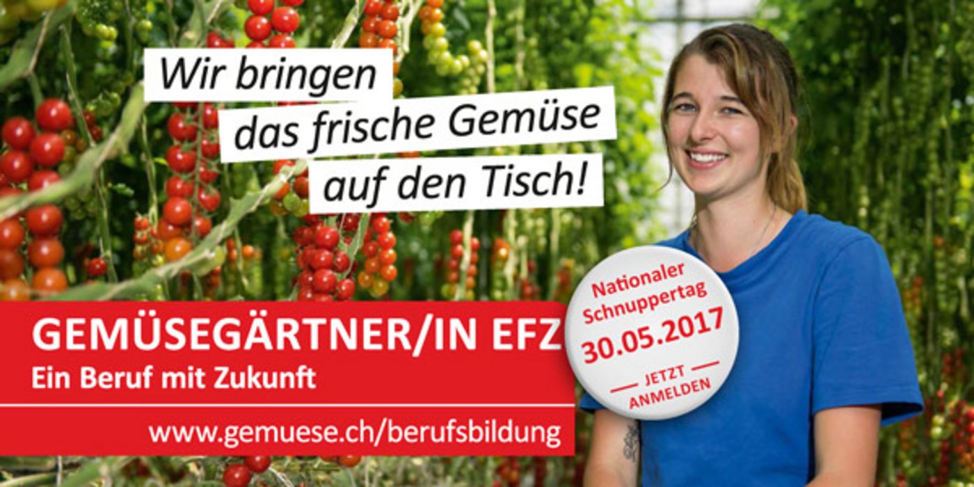 Die Gemüsebranche leidet unter Nachwuchsmangel. Ein Schnuppertag soll auf den Beruf Gemüsegärtner(in) aufmerksam machen. (Bild zVg)