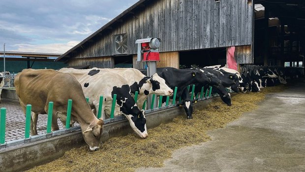Hier wurde die Fressachse unter freiem Himmel erweitert.