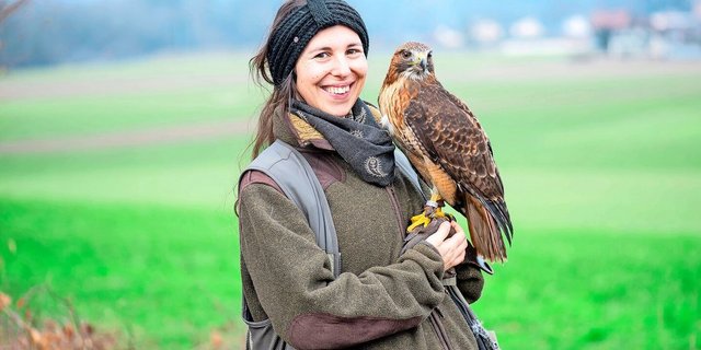 Annika Bütschi und ihr Rotschwanzbussard Aki sind ein eingespieltes Team. 