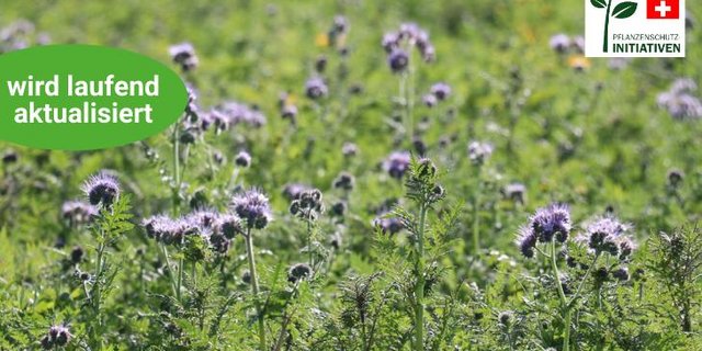 Die BauernZeitung zeigt im Übersichtsartikel zur Pestizidverbots-Initiative alle relevanten Inhalte für die Abstimmung vom 13. Juni (Bild: BauernZeitung/Ruth Aerni)