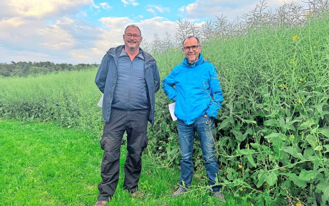 Markus Richner (Links), Berater Landor und Fortunat Schmid (Rechts), Mitglied Geschäftsleitung fenaco GOF, stehen neben dem Versuchsraps. Richner (1m90) sagt: Normalerweise sehe ich übers Feld, aber hier fehlen mir 30 Zentimeter.