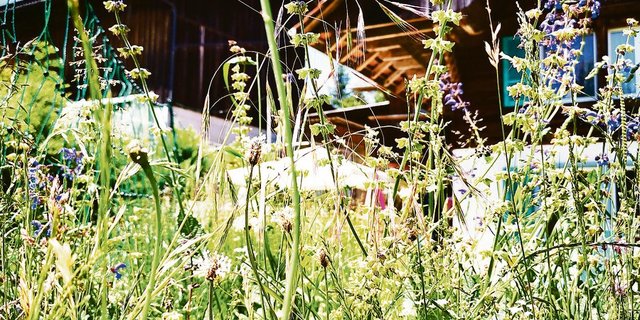Gerade im Ökoheuet treten die regionalen Unterschiede zutage, bringen für den Landwirten einen Bürokratiedschungel und der Natur eher wenig Nutzen.(Bild Daniela Joder)