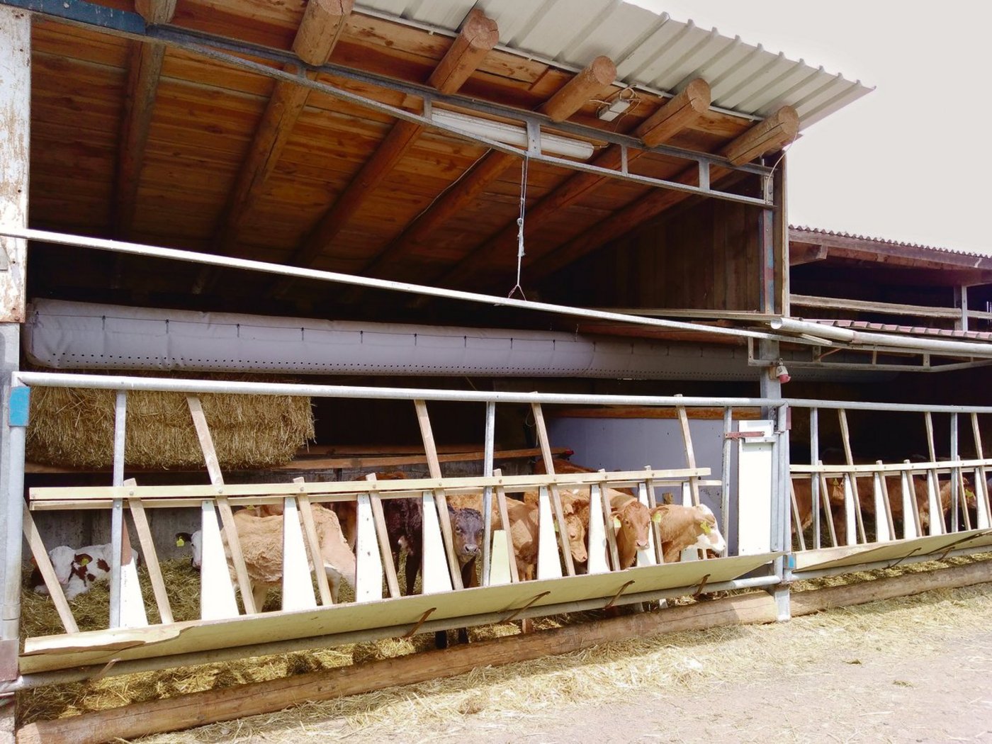 Der Schlauch bringt langsam Frischluft heran.(Bild Hugentobler AG)