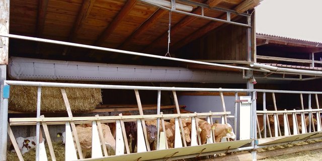 Der Schlauch bringt langsam Frischluft heran.(Bild Hugentobler AG)