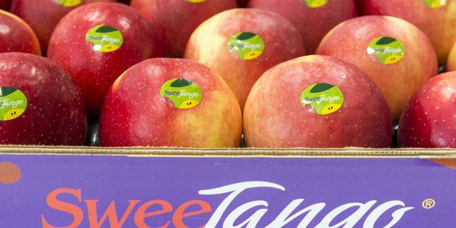 SweeTango Europe zeigt sich mit dem Absatz der neuen Apfelsorte sehr zufrieden. (Bild SweeTango Europe)