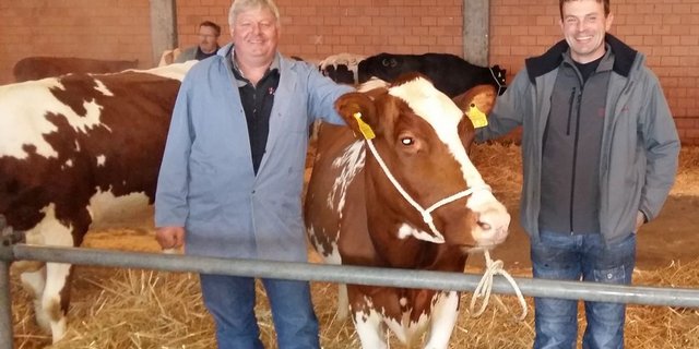 Sind heute Donnerstagmorgen schon zeitig auf dem Schwand: Fritz Läderach (links) und Bernhard Ryser vor der letzten Zucht- und Nutzviehauktion. (Bild sb)