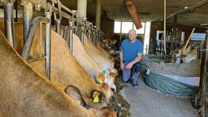 André Stalder im Sta André Stalder im Stall bei seinen Jersey-Kühen. Neben Milchwirtschaft und Fleisch-Vermarktung bietet er auf seinem Hof Green Care an.