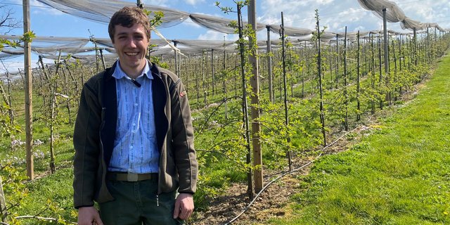 Gabriel Frei in der Obstanlage seines Lehrbetriebs auf dem Liebensberg.(Bilder sjh)