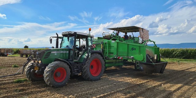 Die Kartoffelernte in der Schweiz hat begonnen. (Bild Swisspatat)