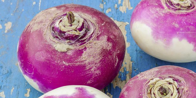 Herbstrüben kann man essen oder ausgehöhlt und geschnitzt ist sie Hauptakeurin am Räbeliechtliumzug. (Bild lid)