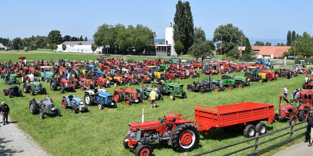 Optimales Ausstellungsgelände mit optimaler Zufahrt zur Staatsdomäne Münsterlingen. (Bilder August Sidler)