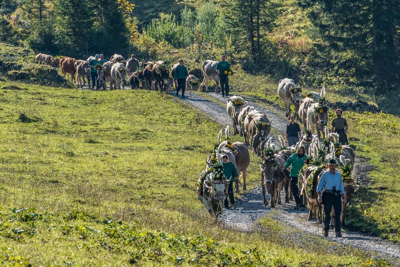 Quo vadis, Schweizer Landwirtschaft? Am 23. September stimmen wir gleich über zwei Agrarinitiaven ab. (Symbolbild Pixabay)