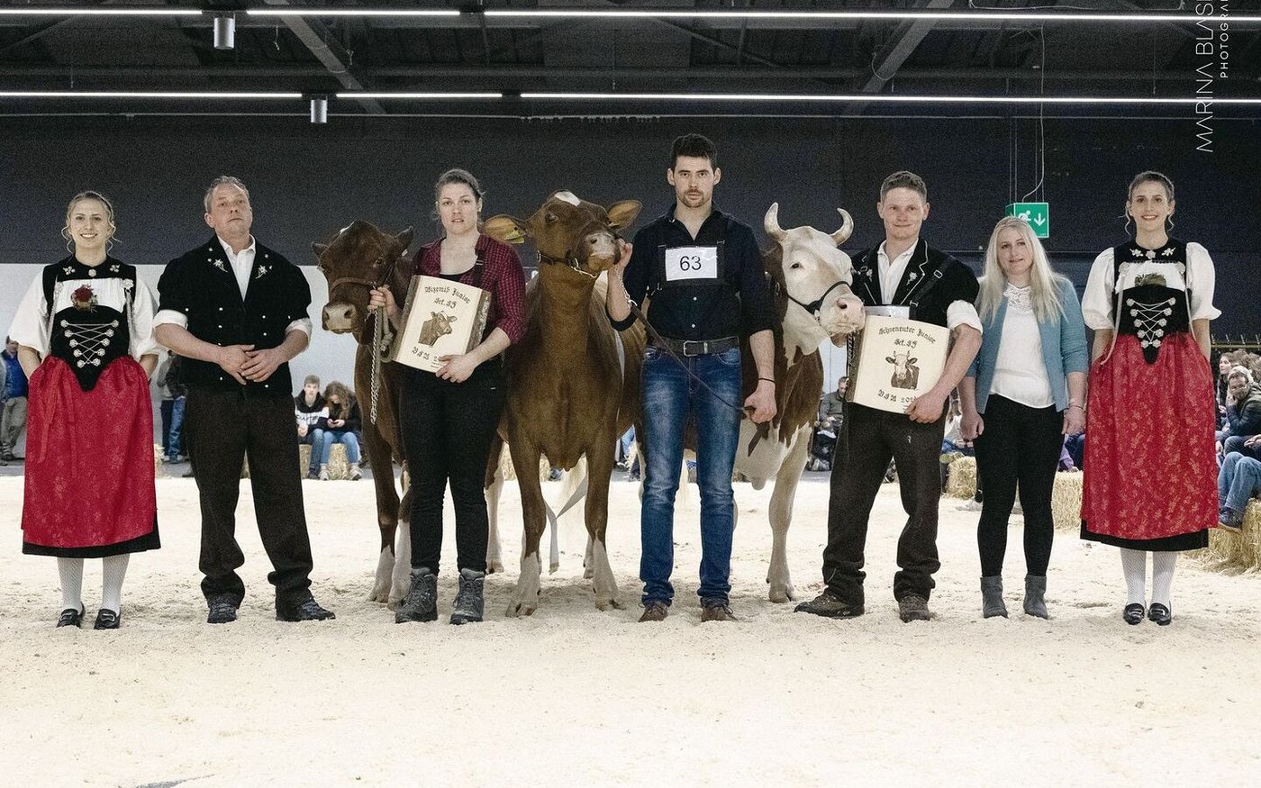 Die Juniormissen der Swiss Fleckvieh: Jutta von Hanspeter Fuss (links), Carnal Lauro Sunny-Red von Ferdinand Oehrli (Mitte) sowie Hirz von Hansueli von Känel.