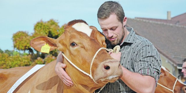 Beständeschauen, insbesondere Jubiläen, sind Publikumsmagnete. Die mit Emotionen geladenen Anlässe sollten heuer möglichst ohne Publikum stattfinden. (Bild BauZ/sb)