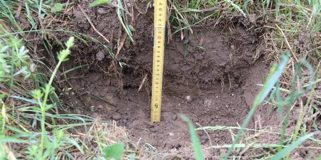 In einer Wiese mit einem eher leichteren Boden sind die Niederschläge nur bis in eine Tiefe von 20 cm eingesickert. (Bilder romü)