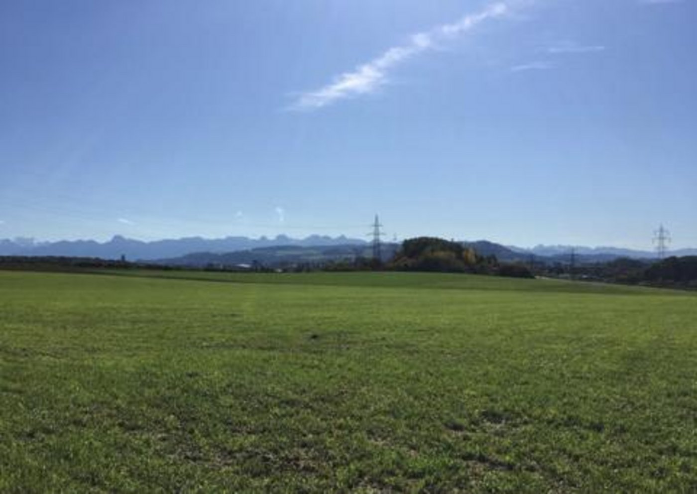 Das älteste Beispiel für Commons sind Allemden, auf denen z. B. verschiedene Landwirte ihre Tiere weiden liessen. (Symbolbild jsc)