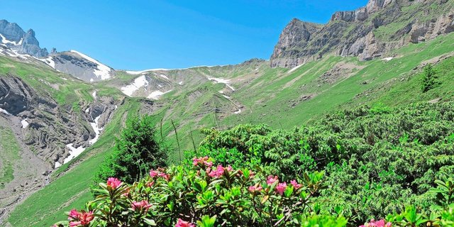 Der Alpsommer 2025 lockt mit Jobs.  