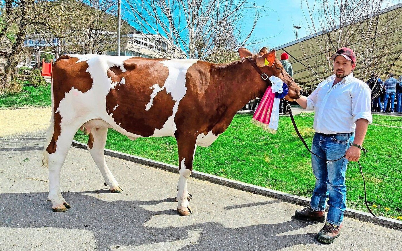 Trachsels Obama Sarah P steht im Stall von Ueli Hunziker und nahm die beiden SF-Titel mit nach Hause.