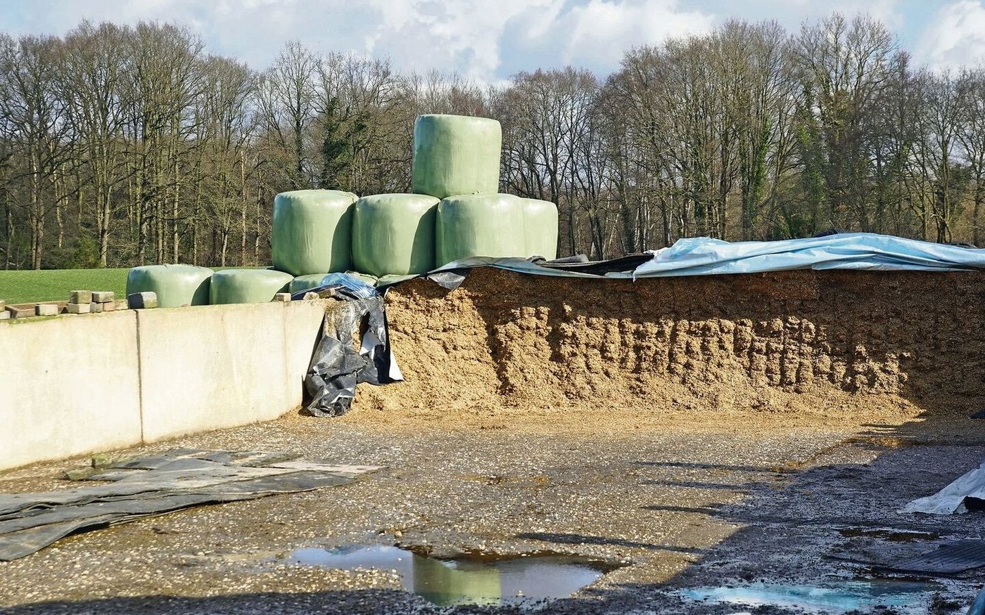 Damit es im Winter nicht zu Fehlgärungen kommt, ist eine fachgerechte Entnahme elementar. Um die Milchsäuregärung zu fördern, darf möglichst wenig Luft in die Silage eindringen. Kurz gehäckseltes Futter verdrängt Sauerstoff und ist somit vorteilhaft. 