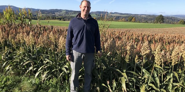 Auf 40 Aren baut Christoph Friedinger aus Dingenhart TG Sorghumhirse an. (Bilder Alexandra Stückelberger)