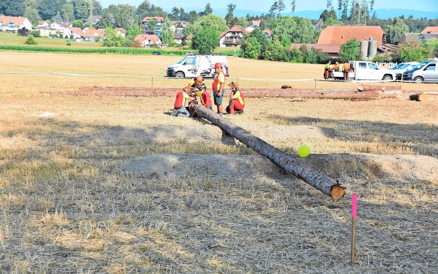 Beim Fällen eines Baumes ist Präzision gefragt: Dabei sollte der Baum den Ballon treffen. Hier ist es nicht ganz geglückt. 