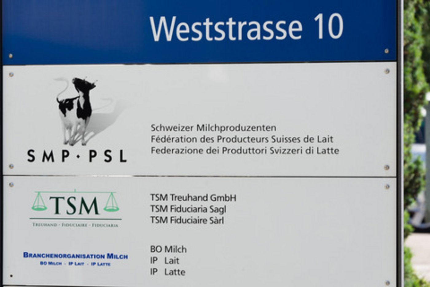 Die SMP und der SBV kritisieren den Vorstandsentscheid. (Bild BauZ)