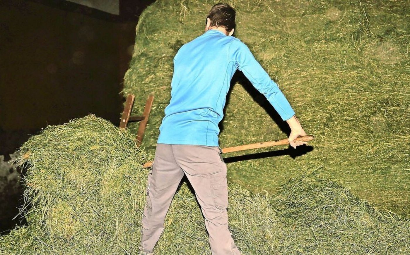 Jahrelang tagtäglich schwere Lasten zu bewegen, kann sich negativ auf die Gesundheit auswirken.