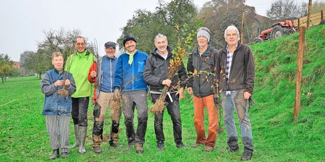 Die Teilnehmer des Heckentages in Schönholzerswilen. In einem Tag Arbeit haben Sie auf 105 Metern eine Hecke gepflanzt und einen Wildschutzzaun erstellt.