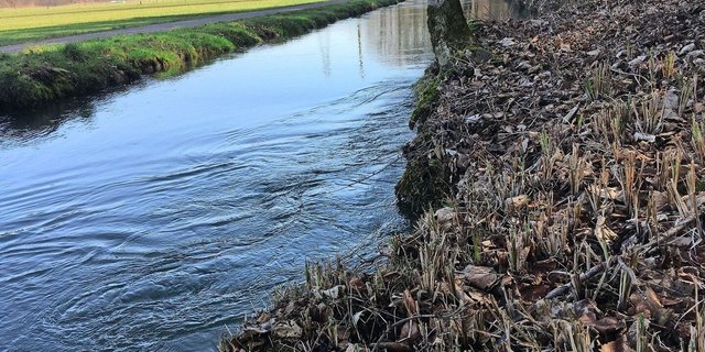 Das Obligatorium für Massnahmen gegen Abdrift und Abschwemmung hat das Risiko für naturnahe Lebensräume reduziert.