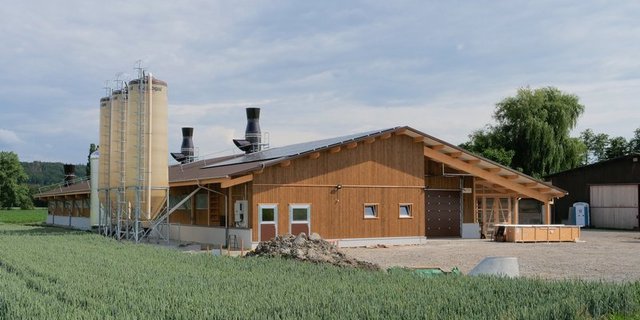 Der Bau von neuen Pouletmastställen könnte bei einer Annahme der Zersiedelungsinitiative erschwert werden. (Bild Peter Röthlisberger)