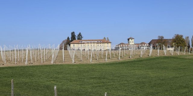 Das Inforama Rütti in Zollikofen machte einen «Quantensprung» bezüglich dem Einsatz von technischen Hilfsmitteln. (Bild lid/ji) 