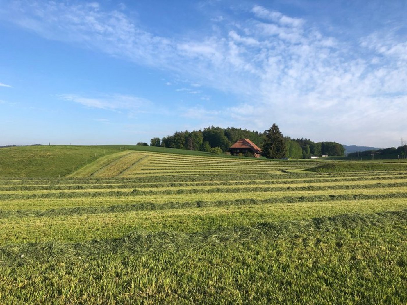 Die AP 22+ solle weder Betriebsspezialisierungen noch Flächenwachstum fördern, fordert die Kleinbauern-Vereinigung. (Bild BauZ)