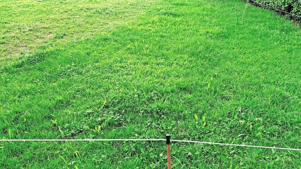 Was kann der Lernende hierzu erzählen? Jan Lüscher ist unter anderem zum Thema Kunstwiese geprüft worden.